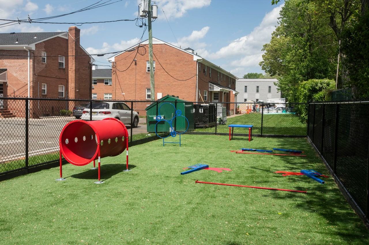 The Courtyard @ Clifton: In - Photo 4 of 31