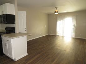 Shadowtree Apartment Homes - Photo 1 of 1
