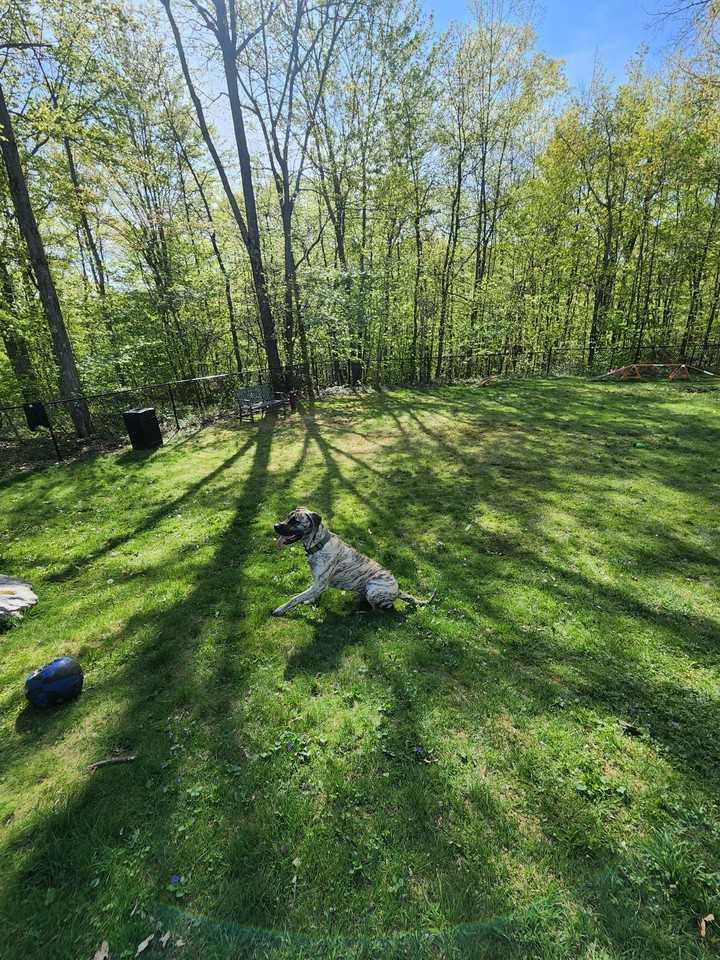 Timberfalls Apartments - Photo 7 of 21