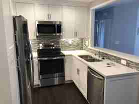 Shasta - Photo 1 of 1