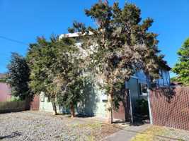 featured image of 3124 California St