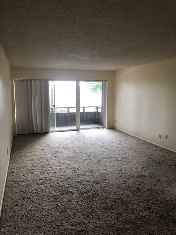 Galleon - Photo 3 of 24