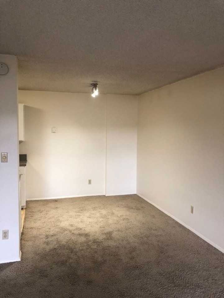 Galleon - Photo 6 of 24