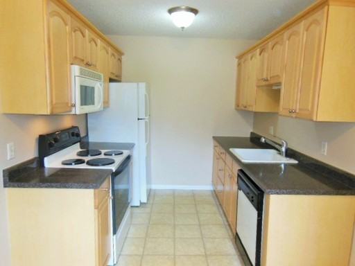 1557 S Owens St #62 - Photo 2 of 11