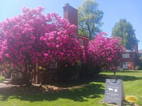 Broadmoor Manor - Photo 1 of 1