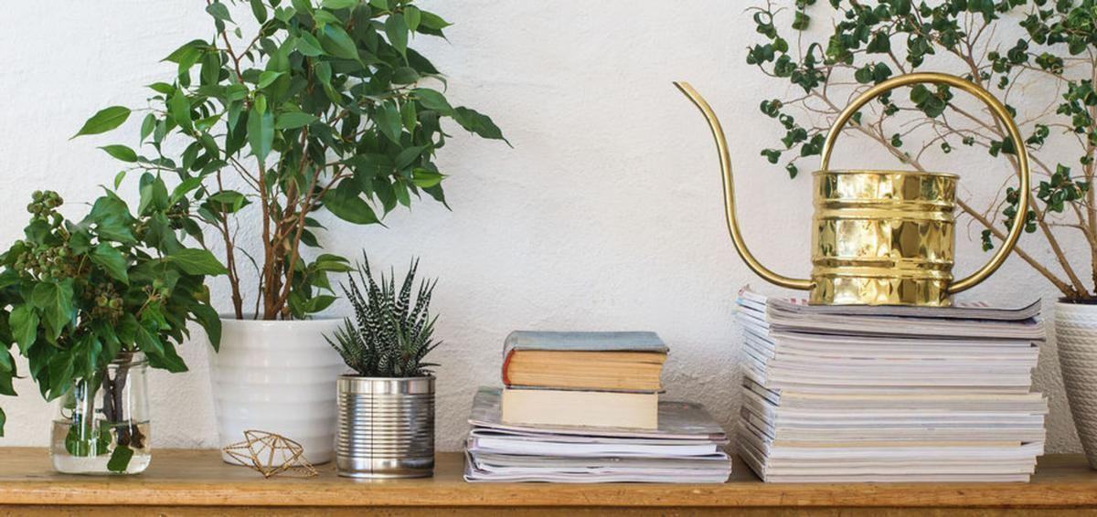 4515 Apex Hwy - Photo 2 of 22