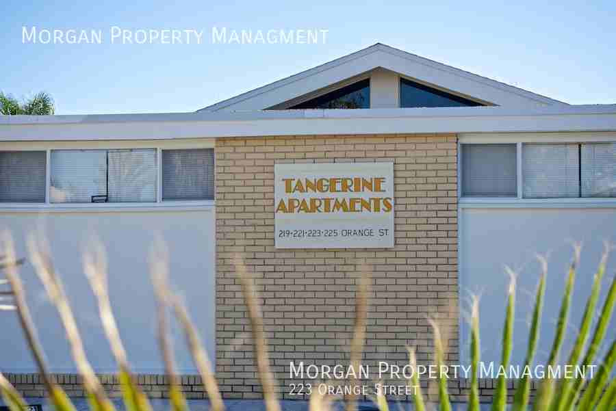 223 Orange St - Photo 3 of 16