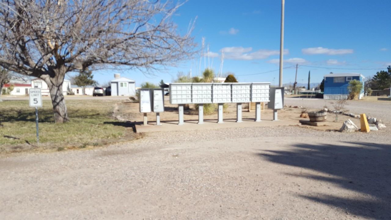 Walnut Grove Apartments - Photo 7 of 9