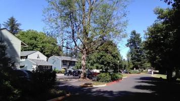 featured image of 505 Division Street Northwest