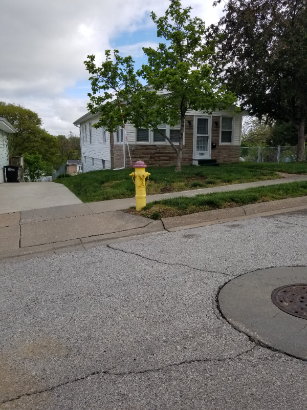 3524 Polk St - Photo 2 of 20