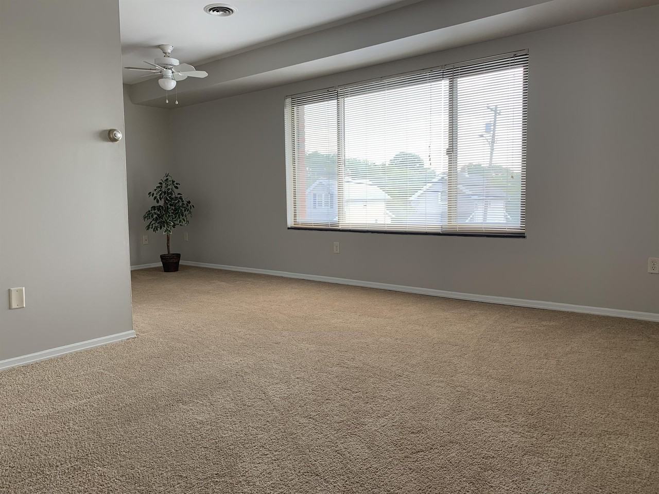 MAIN STREET - 5388/5398 -- 192 - Photo 4 of 13