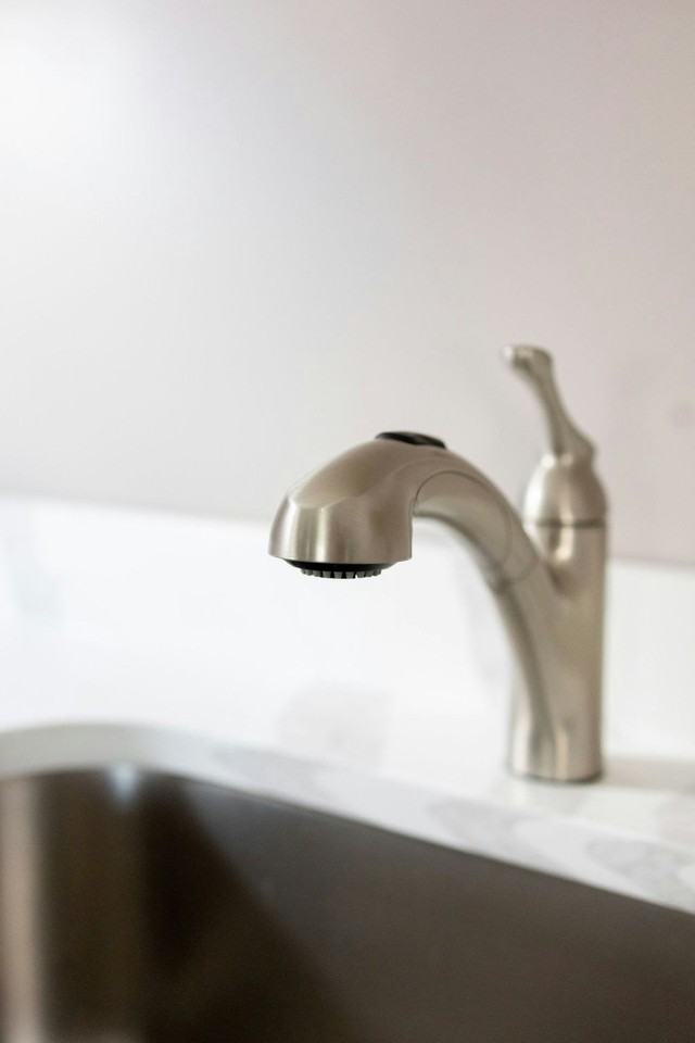 445 West Lemon Street, Unit 3 - Photo 6 of 30
