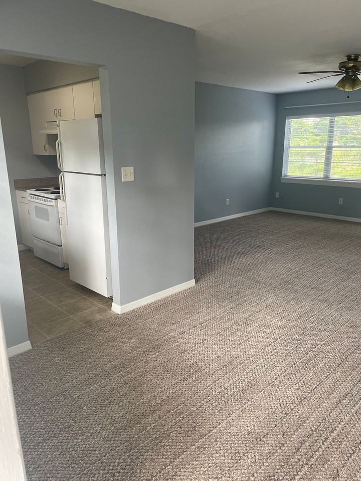 43 Bougainvillea Dr - Photo 2 of 10