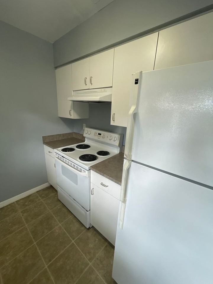 43 Bougainvillea Dr - Photo 3 of 10