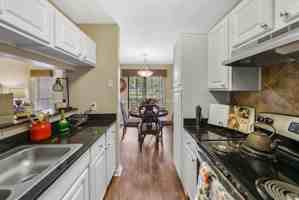 featured image of Sandstone Lake Drive #1