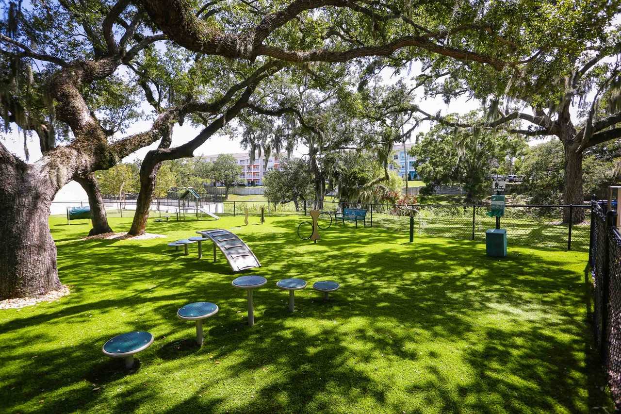 Gulf to Bay Boulevard #1 - Photo 6 of 10