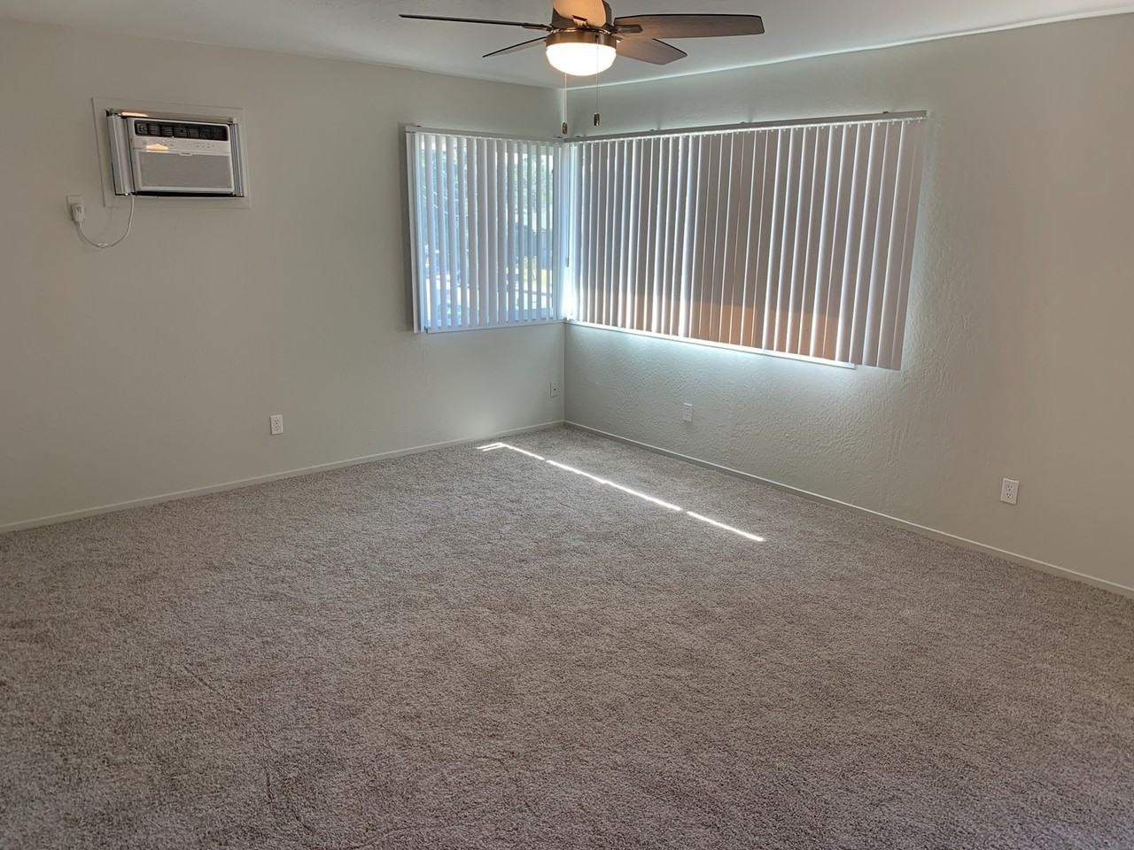 1263eo - Photo 3 of 8