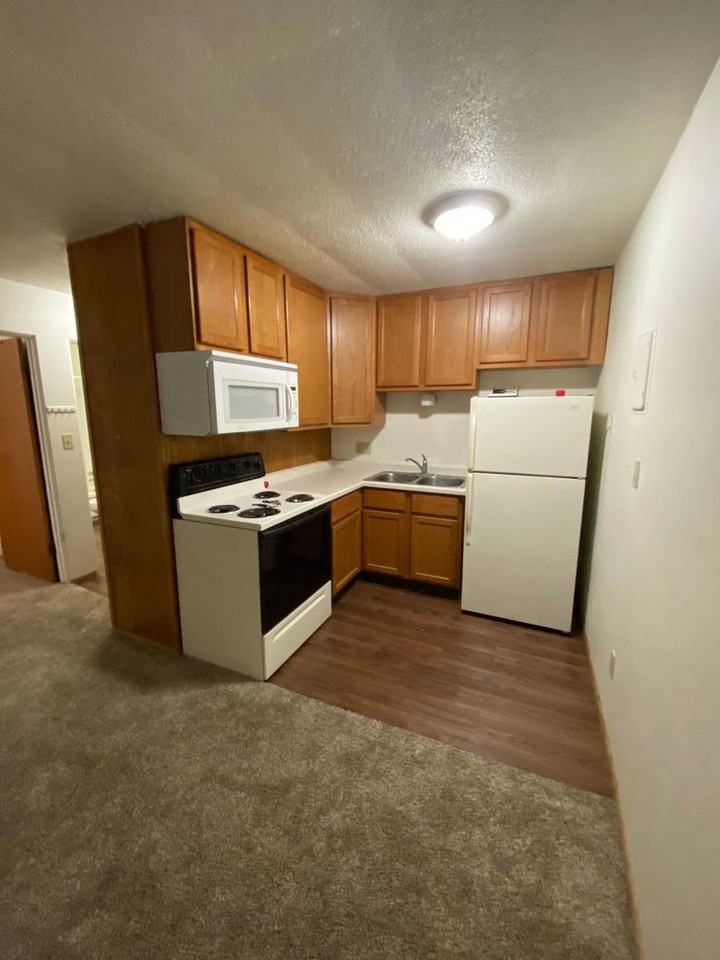 College Manor - Photo 7 of 12