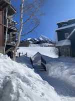 featured image of 21 Crested Mountain Ln #503