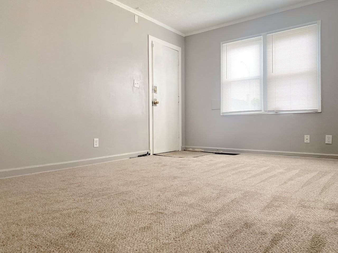 2434 Himebaugh Ave - Photo 3 of 22