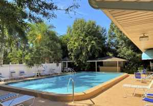 Sarasota Pines - Photo 1 of 1