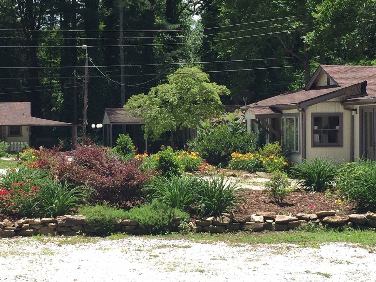 Snapdragon 51 - Photo 3 of 15