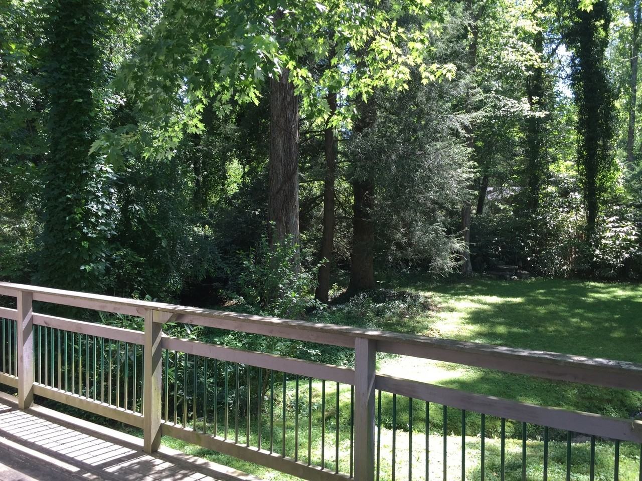 Snapdragon 51 - Photo 5 of 15