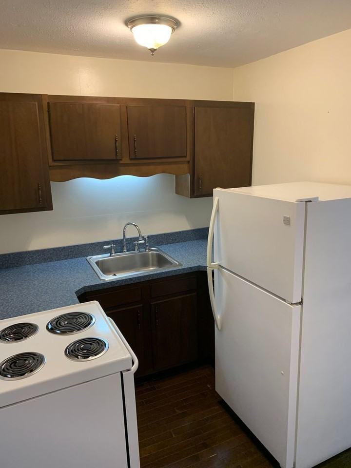 Snapdragon 51 - Photo 6 of 15