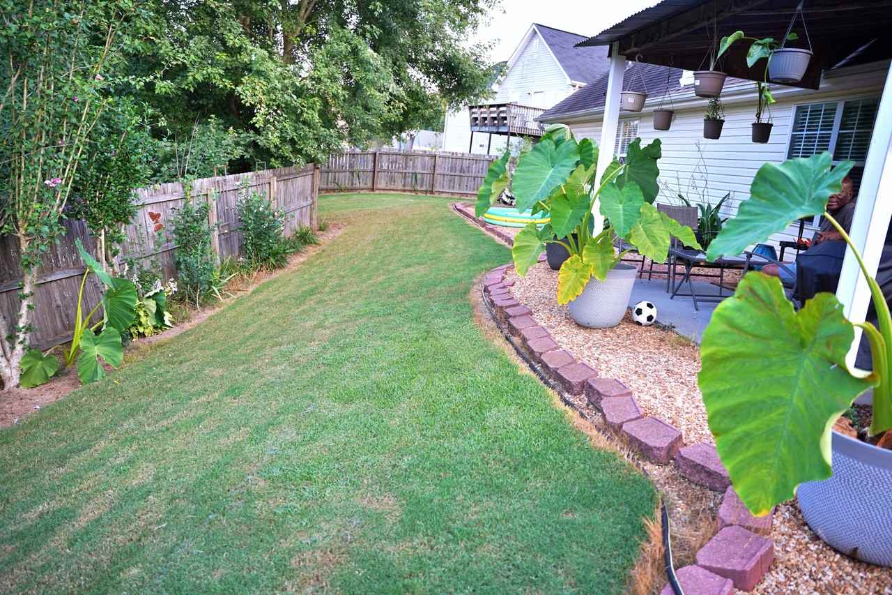 60 Shenandoah Dr #NA - Photo 6 of 29