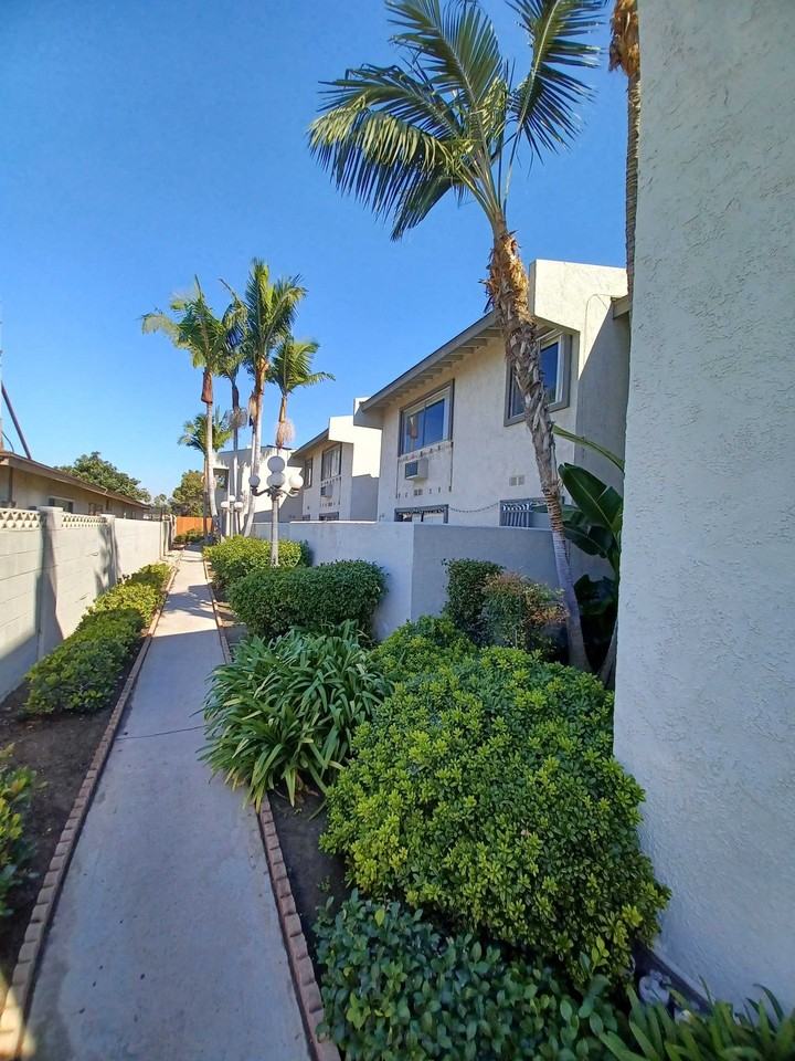 The Palms - Photo 4 of 10
