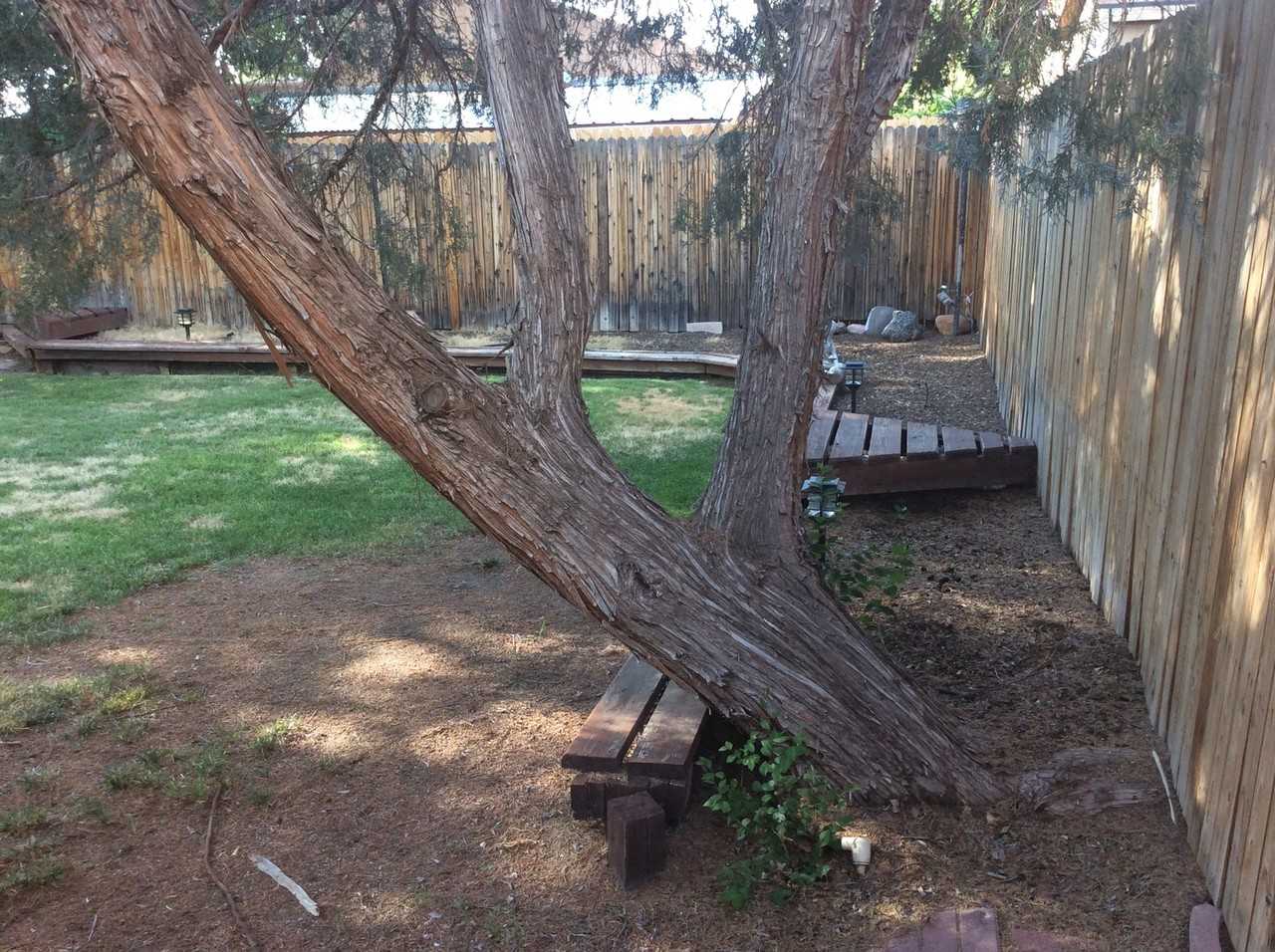 6329 Christy Ave Ne - Photo 2 of 15