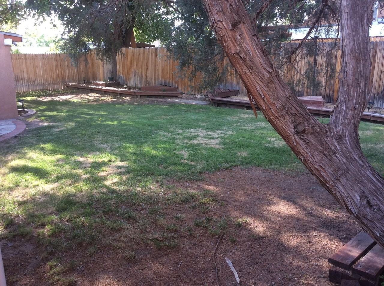 6329 Christy Ave Ne - Photo 3 of 15