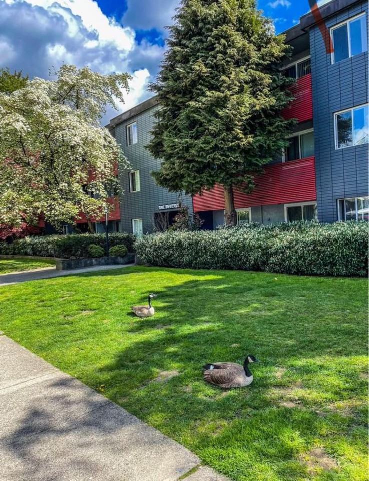 The Beverly Apartments 1190 West 10th Avenue 103, Vancouver, BC V6H