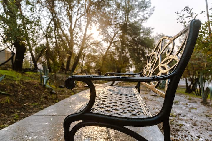 12238 Lake Blvd #12240 - Photo 2 of 15