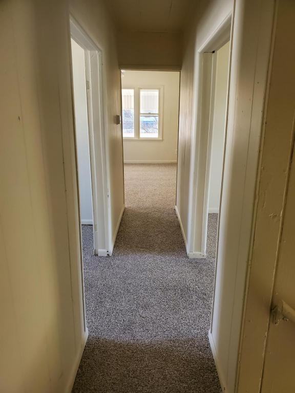 309 1/2 E Washington St - Photo 5 of 12