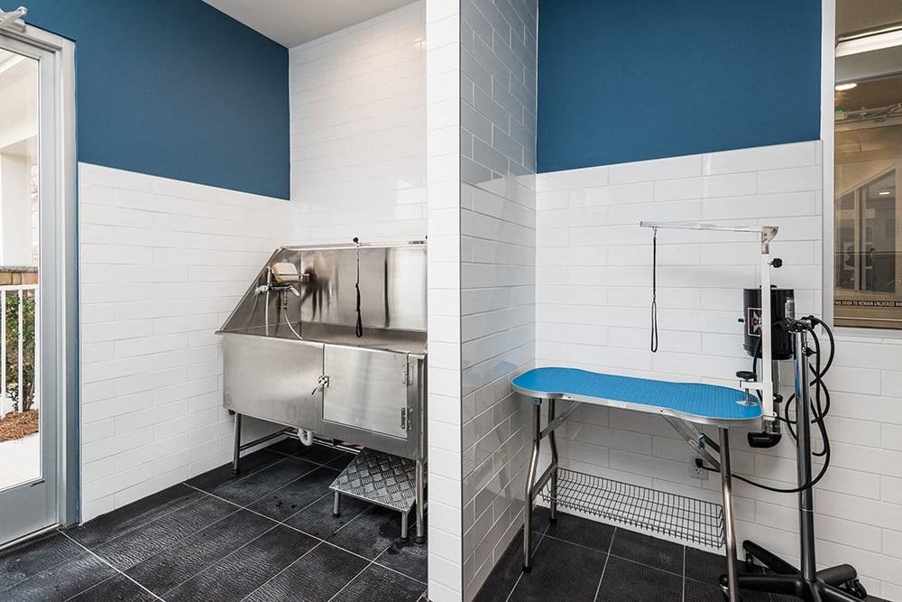 Cascades at Northlake Apartments - Photo 6 of 11