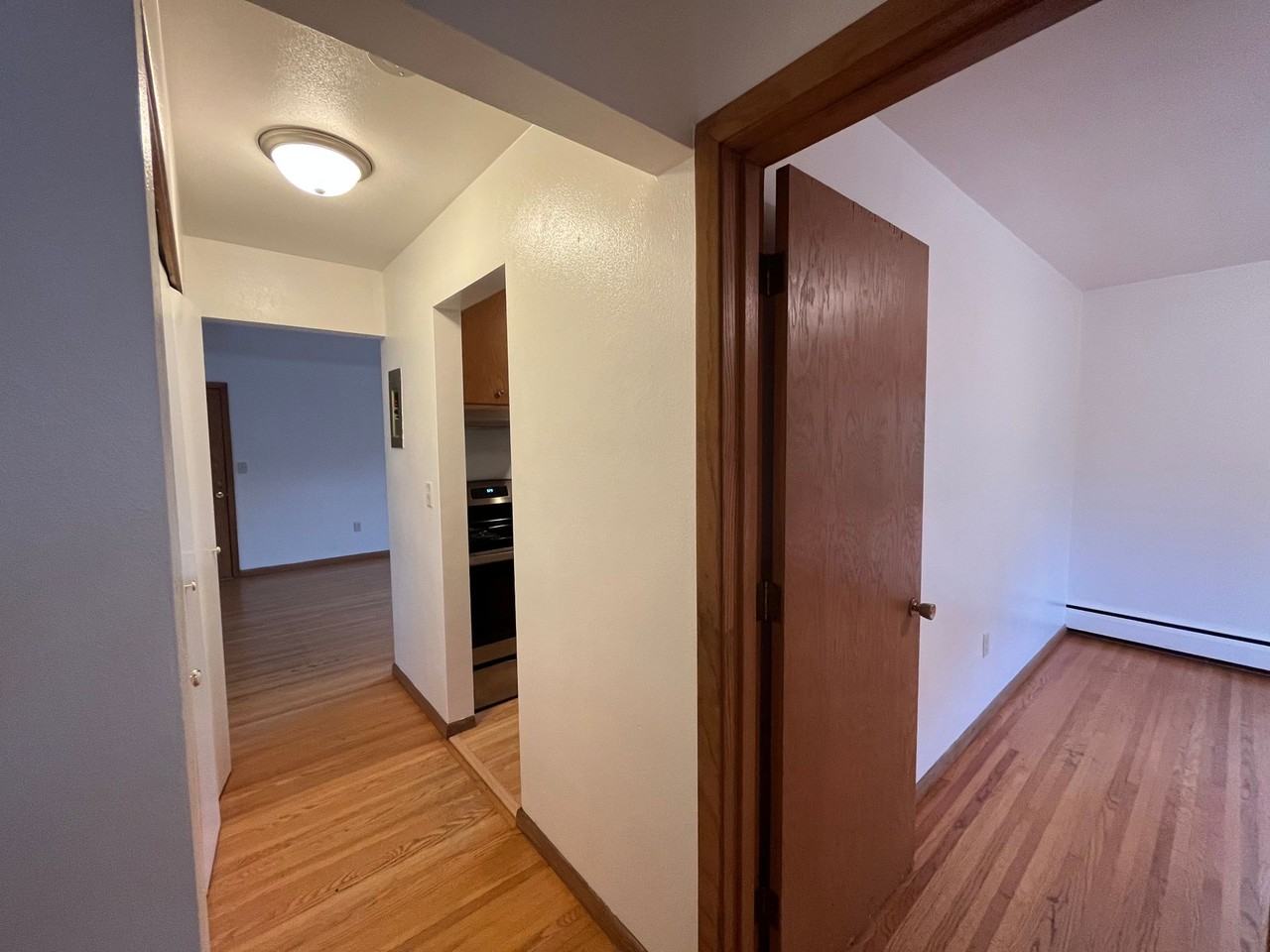 Charming 1 Bedroom next to Swede Hollow Park! - Photo 7 of 14