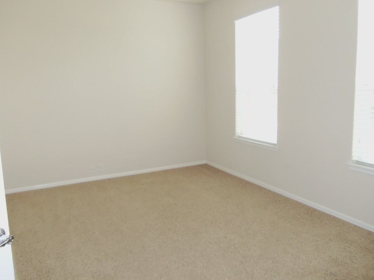 16107 Noble Night - Photo 3 of 28