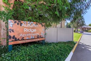 featured image of 15135 Stone Ln N