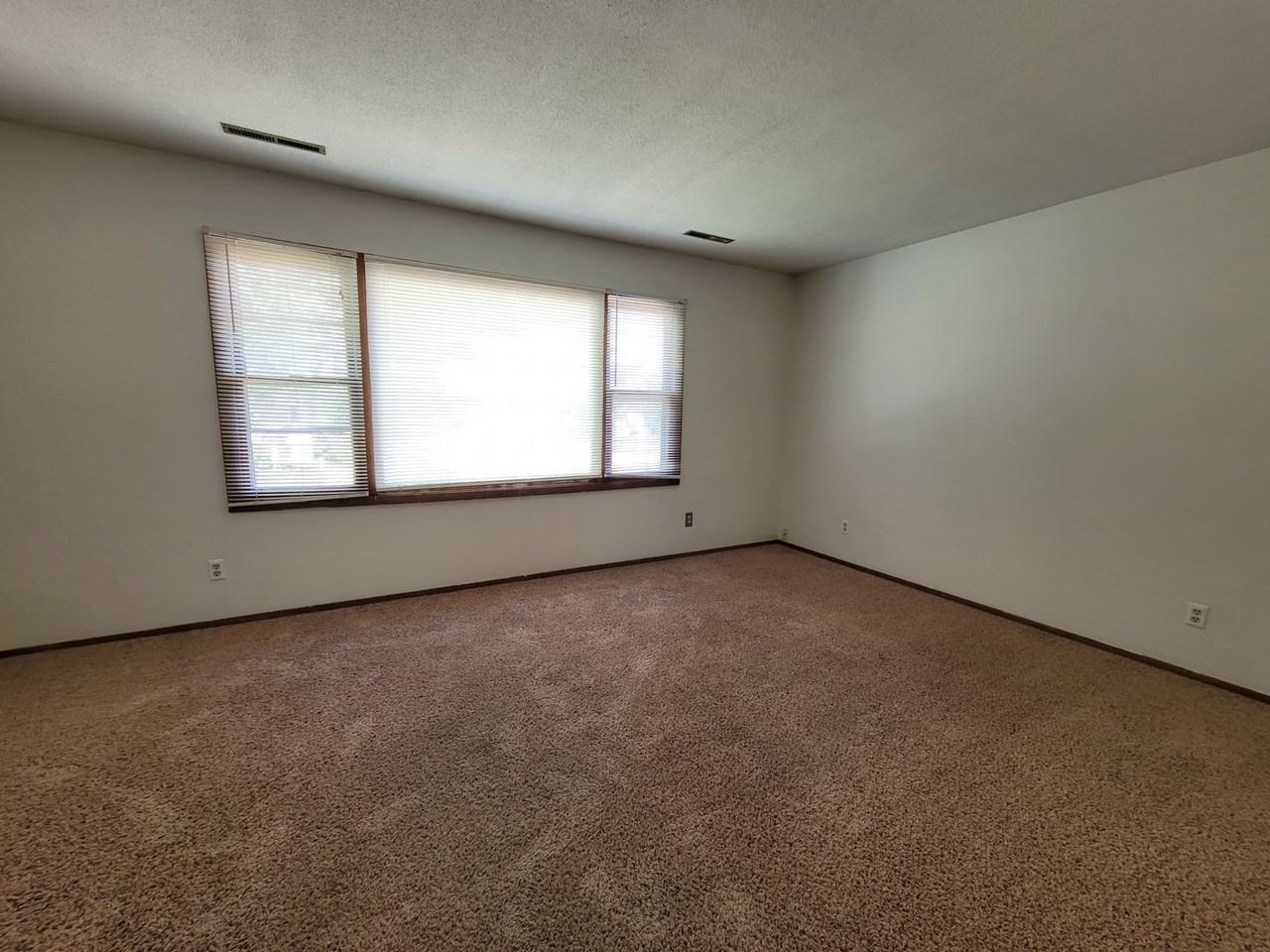 320 13th Ave - Photo 3 of 12