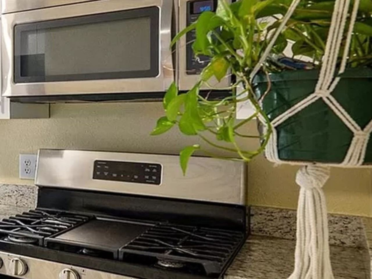 3351 Jasmine St - Photo 4 of 12