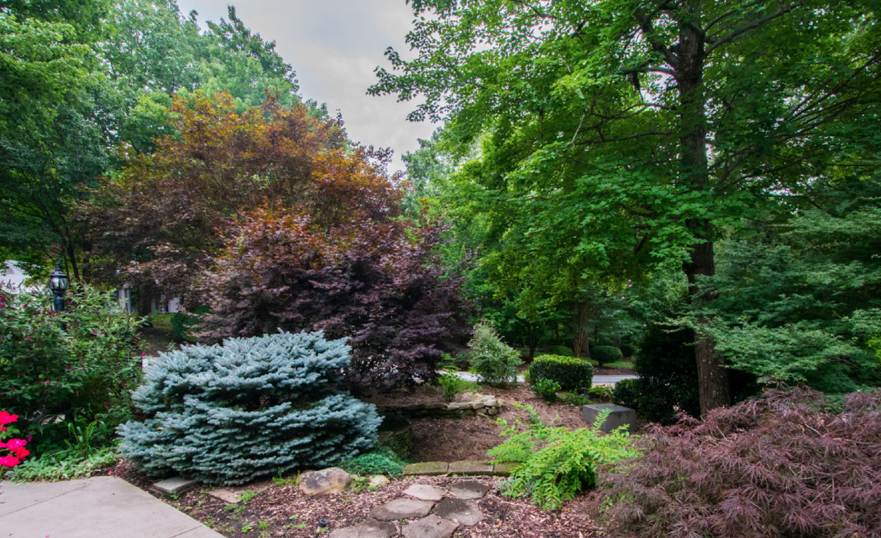 108 Jenny Lind Dr - Photo 3 of 27