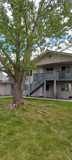 11270 Napton Way #2A - Photo 1 of 1
