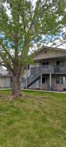 11270 Napton Way #2A - Photo 1 of 1