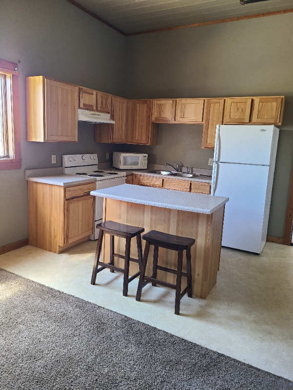 112 S Douglas St 10, Glendive, MT 59330 1 Bedroom Apartment for Rent