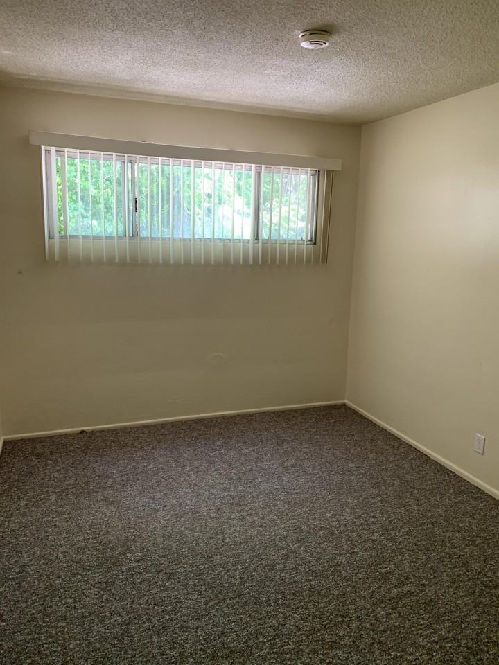 Brizzolara 690 - Photo 2 of 15