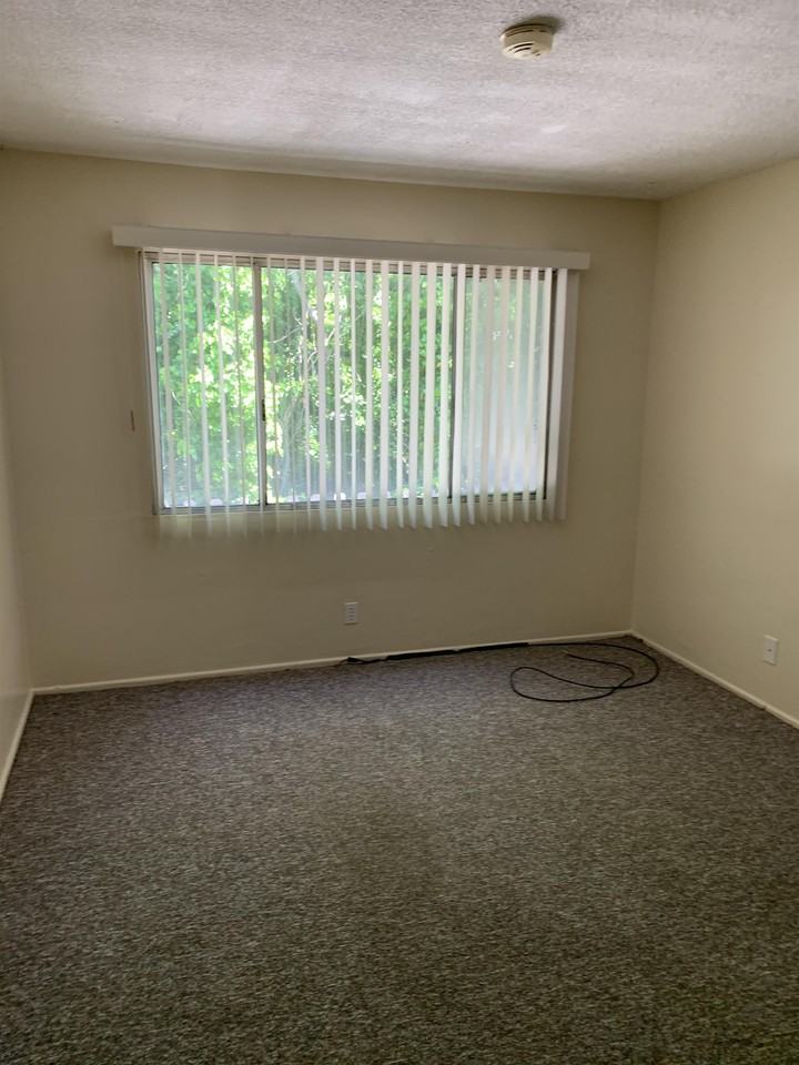 Brizzolara 690 - Photo 7 of 15