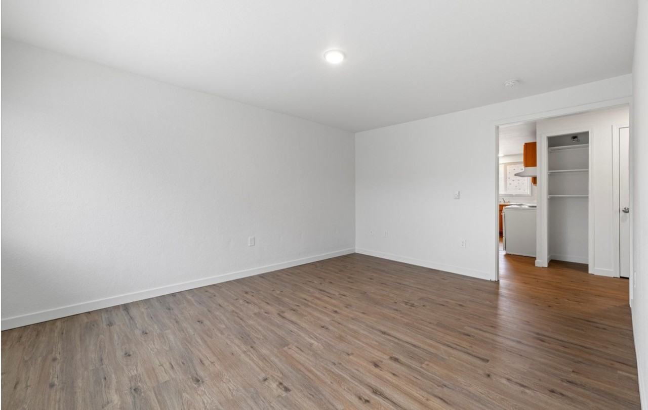 Chestnut Apartments - Photo 5 of 16