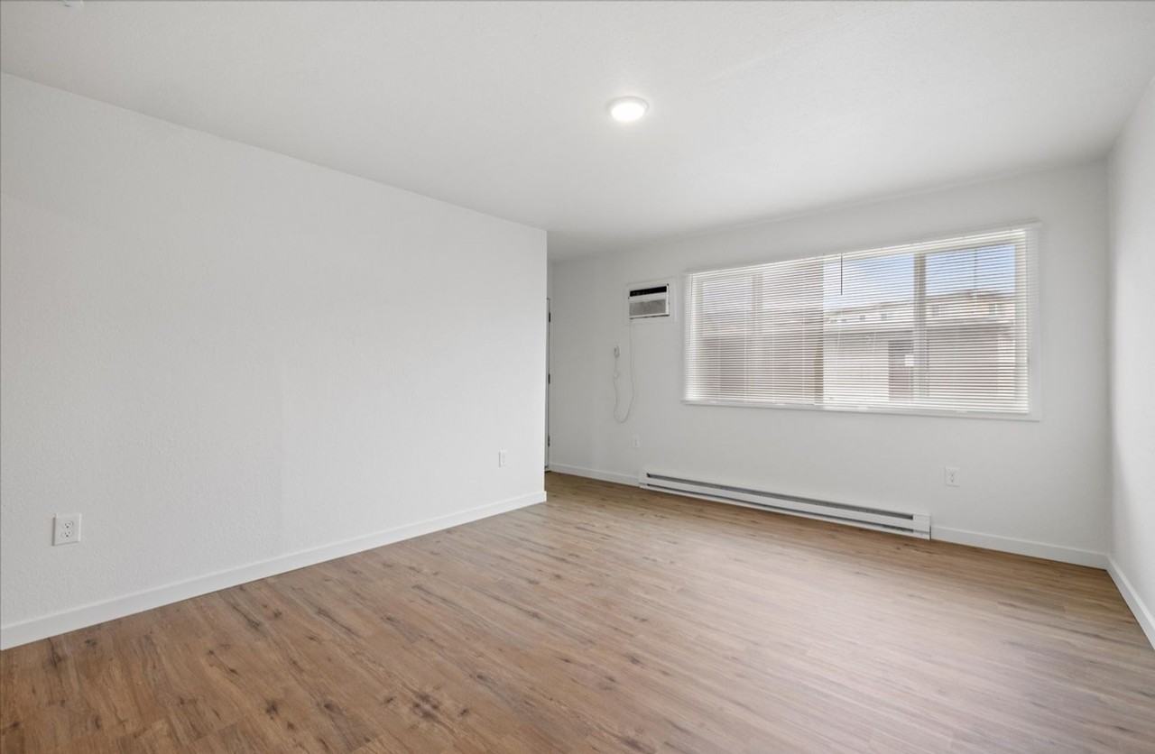 Chestnut Apartments - Photo 6 of 16