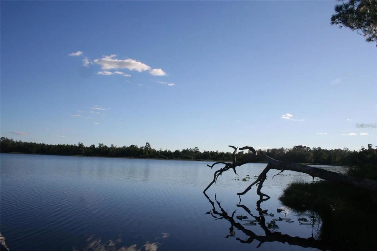 21317 Se 111th Ave - Photo 2 of 32